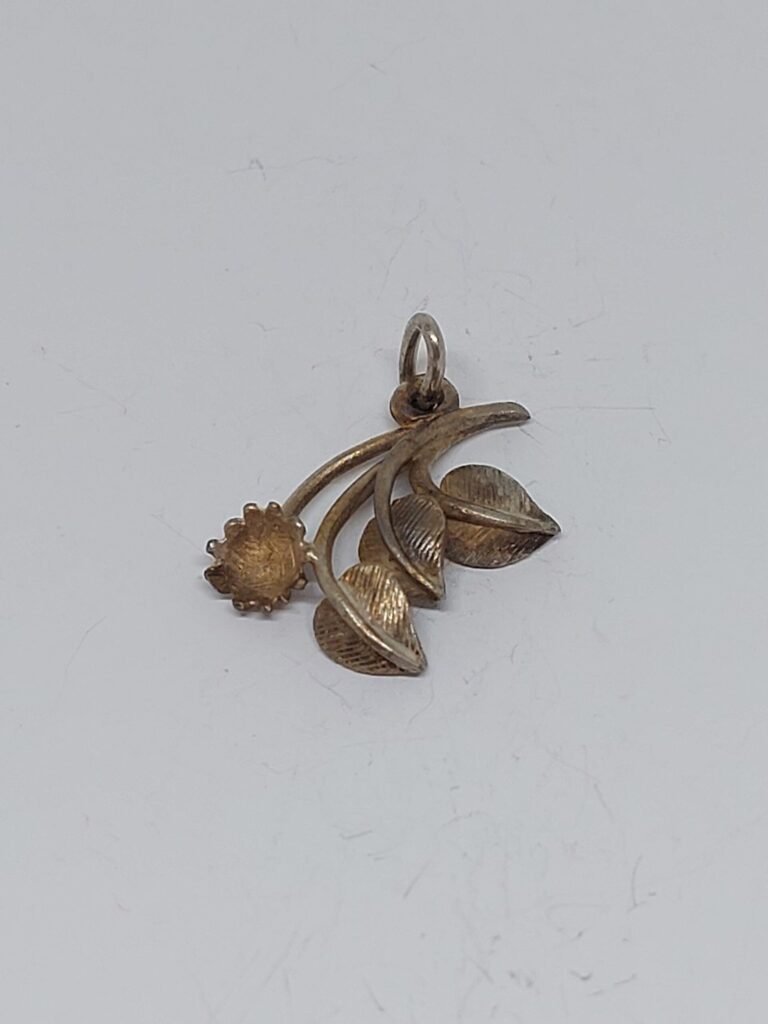 20250625_195030-scaled-1